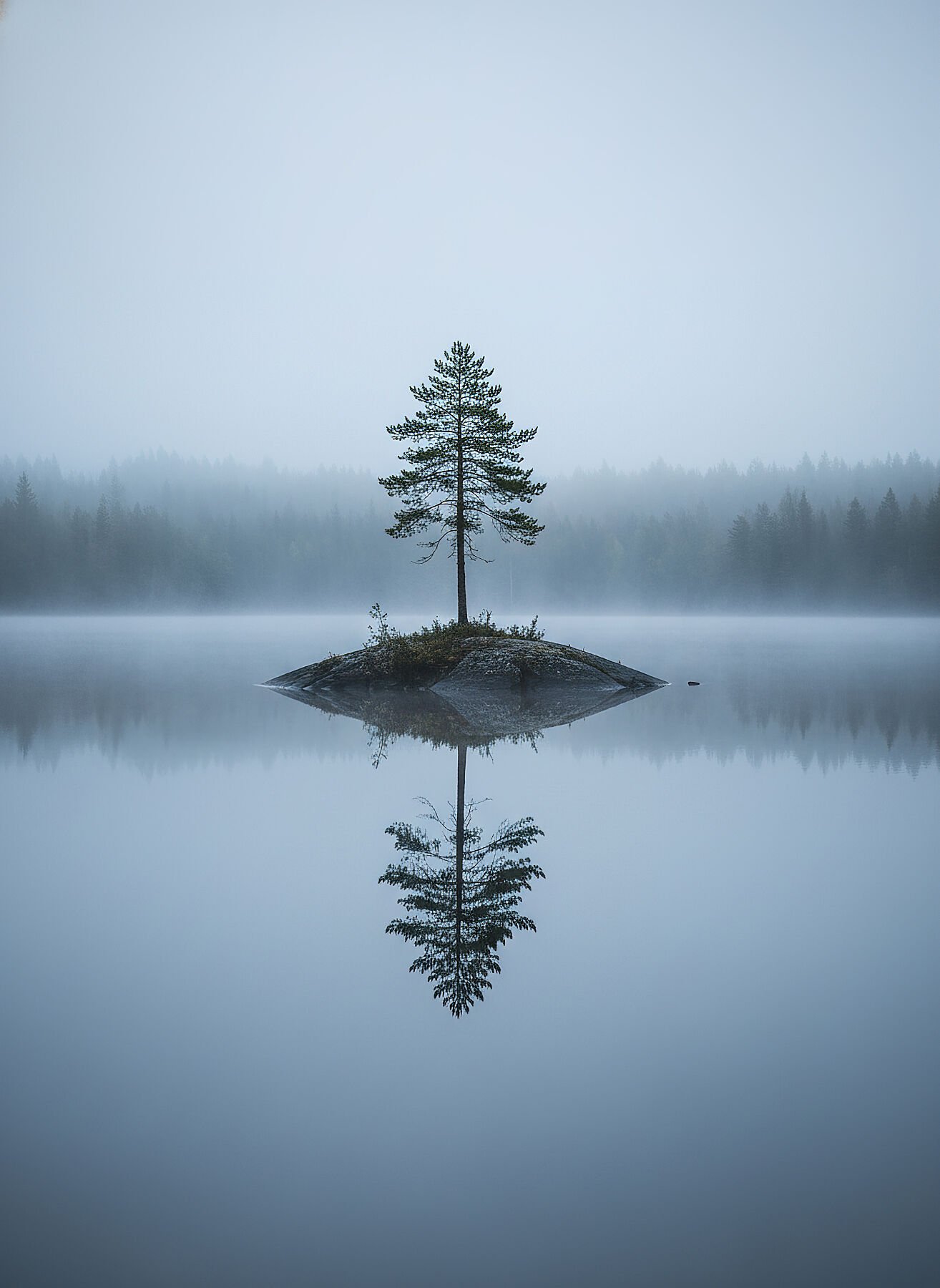 Fotografía lago finlandés agua espejo pino isla reflejo niebla minimalista paisaje nórdico azul gris